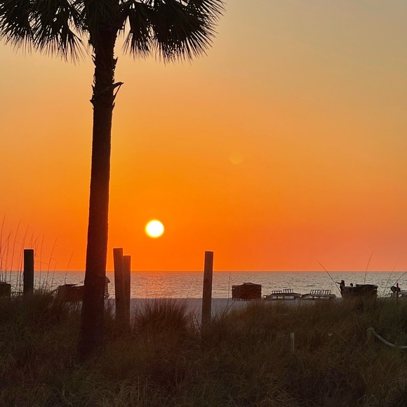 Meet your Posher, Lisa - Picture 1 of 1